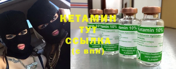 дмт Бородино