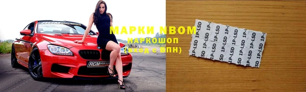 дмт Бородино