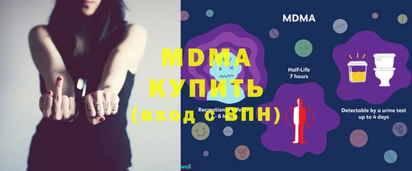 дмт Бородино