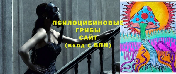 дмт Бородино
