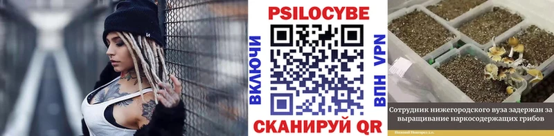 Галлюциногенные грибы Psilocybine cubensis  мега сайт  Микунь  магазин  наркотиков 